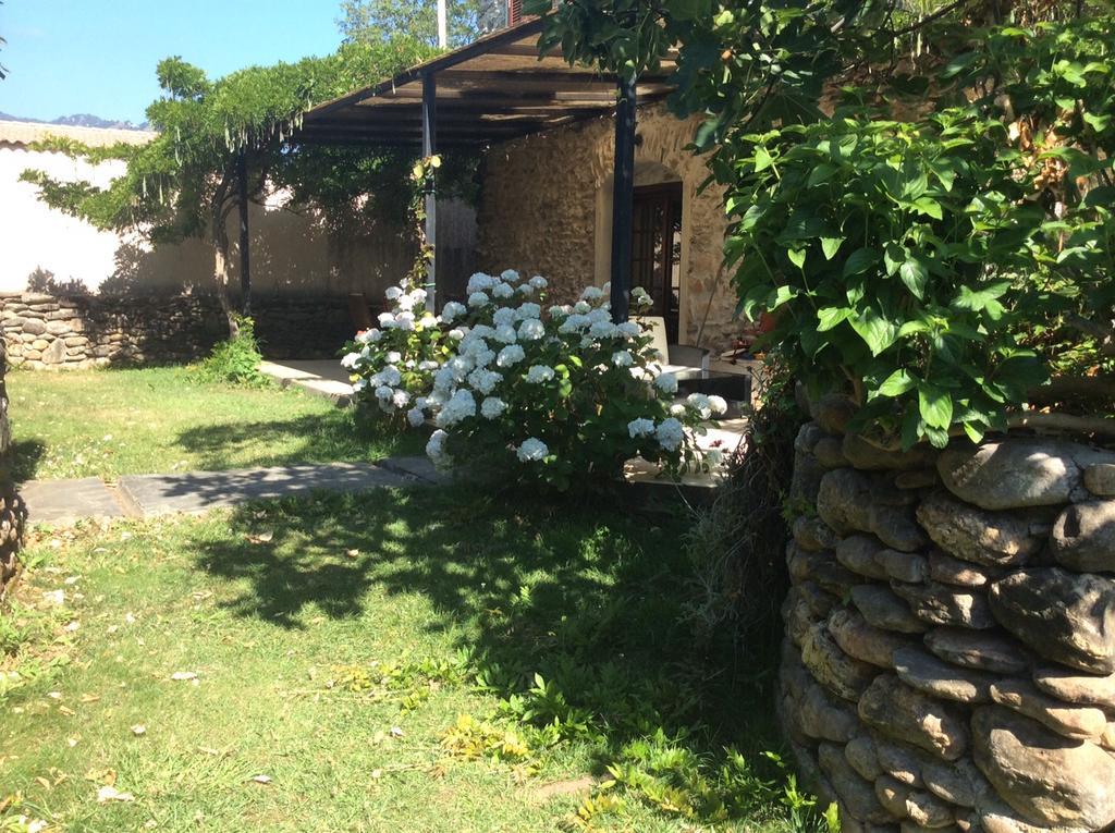 Residence De Tourisme Le Clos Des Vendanges Moriani Plage Eksteriør bilde